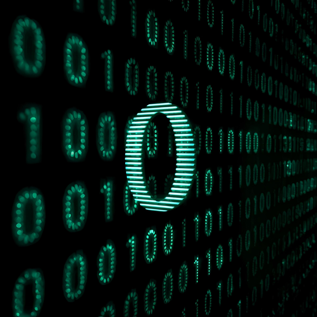 Binary numbers and data